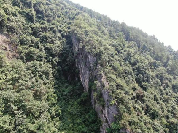 “想为自己生日添道菜”，女子上山采蘑菇失联，在数百米悬崖下被找到