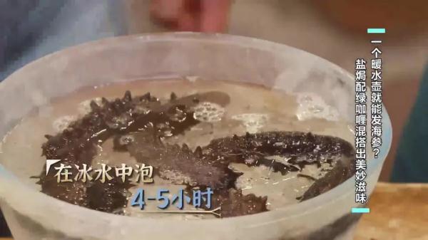 博士的独家菜谱,大厨的发海参秘籍,为夏季餐桌添凉意! 博士的独家菜谱,大厨的发海参秘籍,为夏季餐桌添凉意!