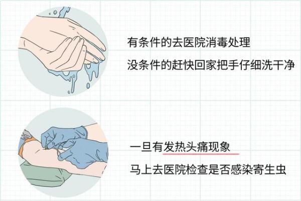 这种蜗牛是“毒王”,不能摸更不能吃! 这种蜗牛是“毒王”,不能摸更不能吃!