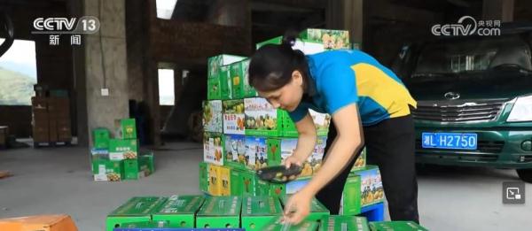 配备“恒温冷库”为水果“降温” 保障市场供应不断档