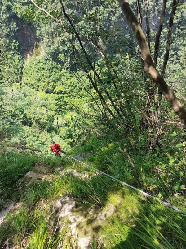 “想为自己生日添道菜”，女子上山采蘑菇失联，在数百米悬崖下被找到