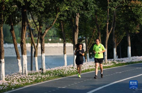 在成都，读懂大运之城的生态密码