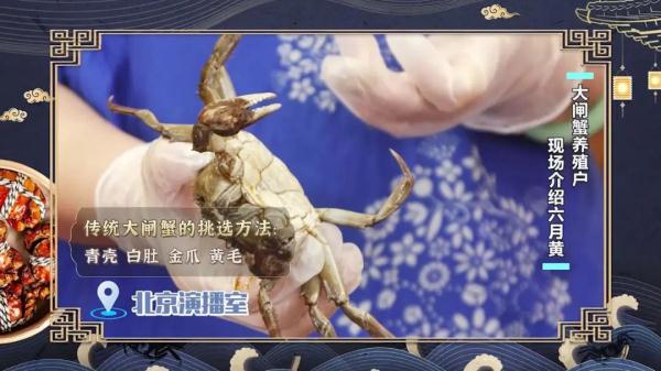 这个时候的大闸蟹叫六月黄，味道最鲜美！