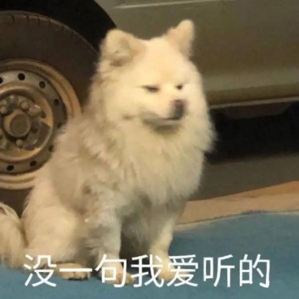 “教练，这车怎么崴脚了呀？”