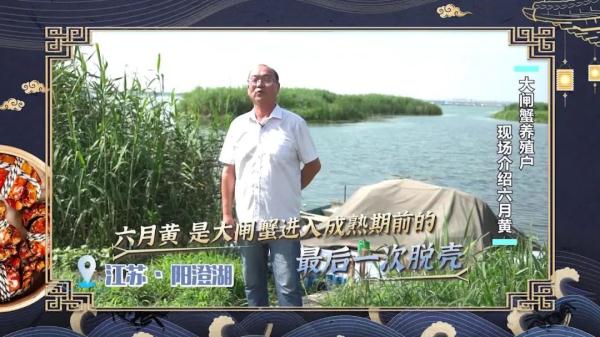 这个时候的大闸蟹叫六月黄，味道最鲜美！