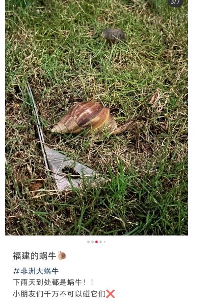 福建已出现！严重可致死，看到千万别碰