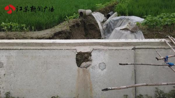 排水渠大面积空鼓坍塌 农田蓄水灌溉成隐忧