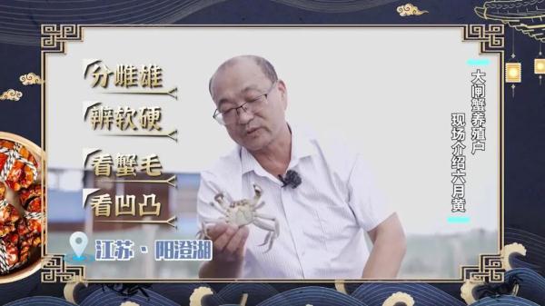 这个时候的大闸蟹叫六月黄，味道最鲜美！