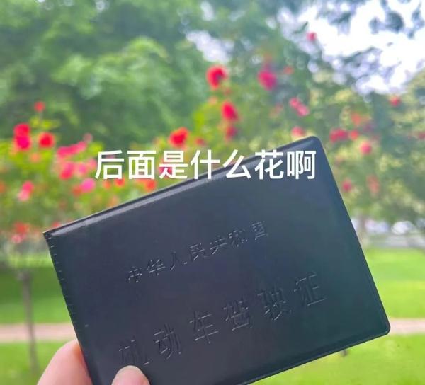 “教练，这车怎么崴脚了呀？”
