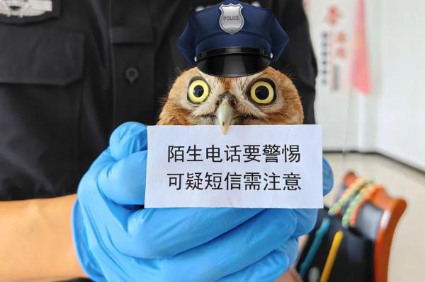 没看错吧！这只猫头鹰居然在“打工”？