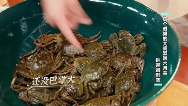 这个时候的大闸蟹叫六月黄，味道最鲜美！