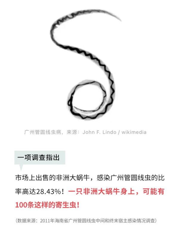 福建已出现！严重可致死，看到千万别碰