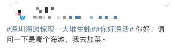 密密麻麻!广东一地海滩突现大量生蚝,吃货们“成桶”往家扛,网友:看饿了 密密麻麻!广东一地海滩突现大量生蚝,吃货们“成桶”往家扛,网友:看饿了