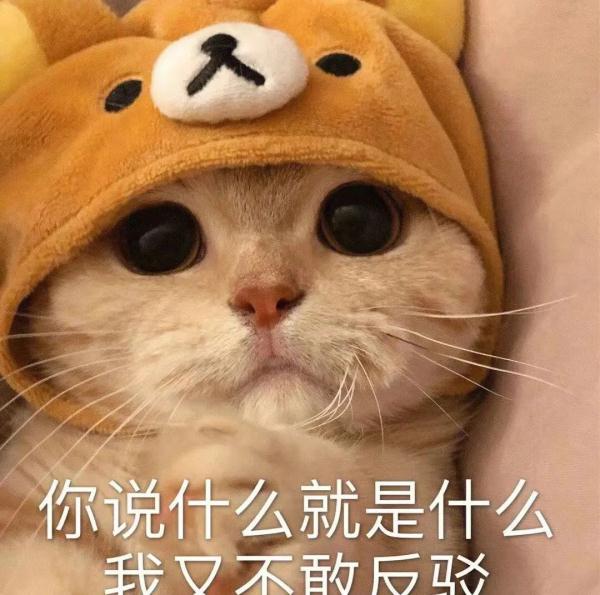 冲上热搜!专家提醒 冲上热搜!专家提醒