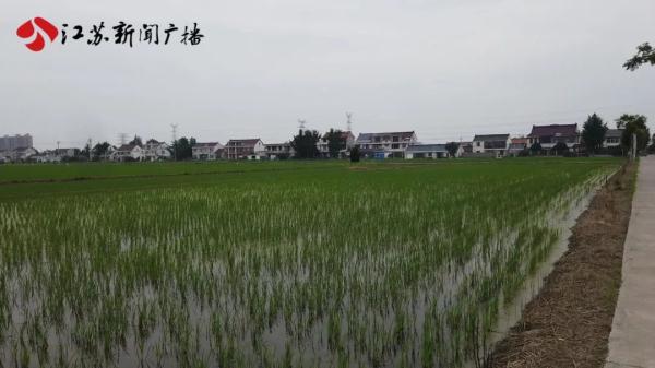 排水渠大面积空鼓坍塌 农田蓄水灌溉成隐忧