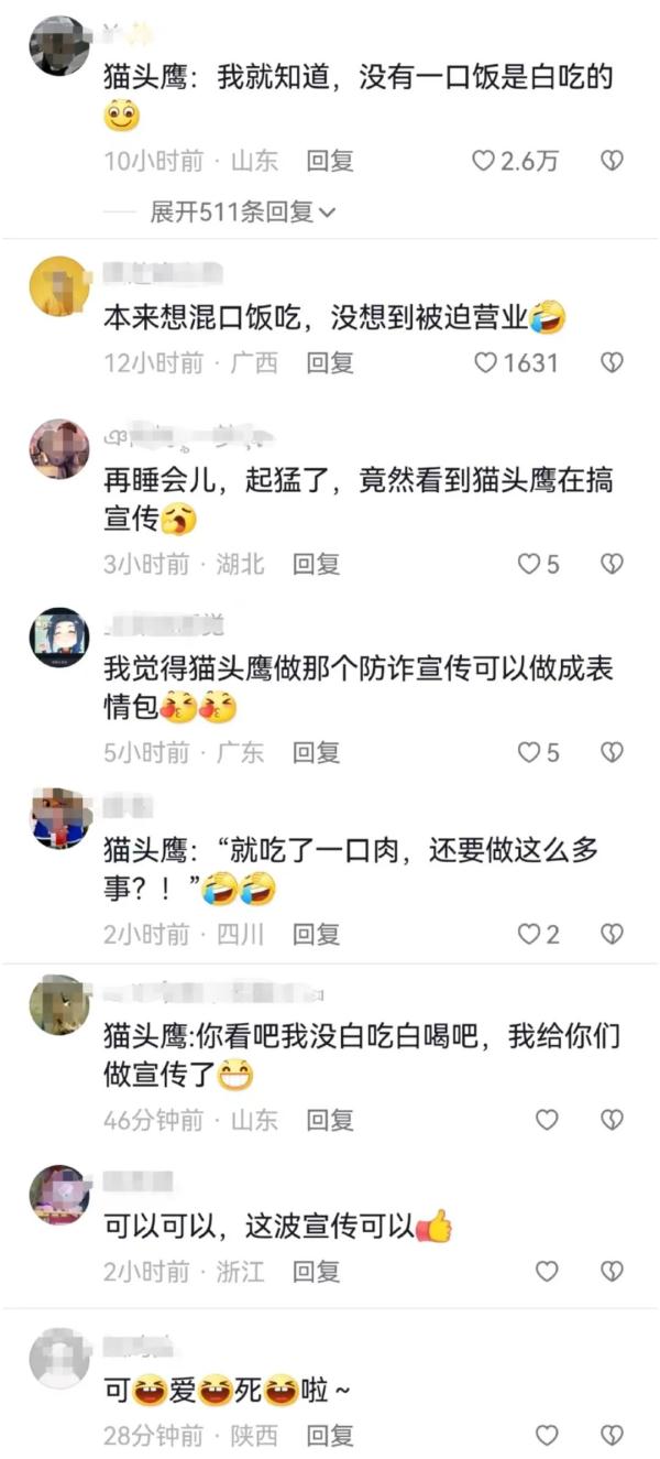 网友:起猛了!竟然看到猫头鹰在“打工” 网友:起猛了!竟然看到猫头鹰在“打工”