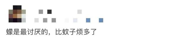 这个“吸血鬼”比蚊子还猛还难缠！5招能治它→