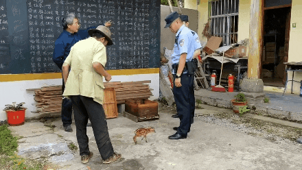 小黄麂疑与“家人”走散获警民救助，可把大伙儿萌翻了