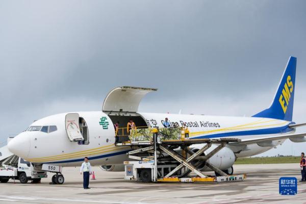 长江行| 巫山脆李出峡记
