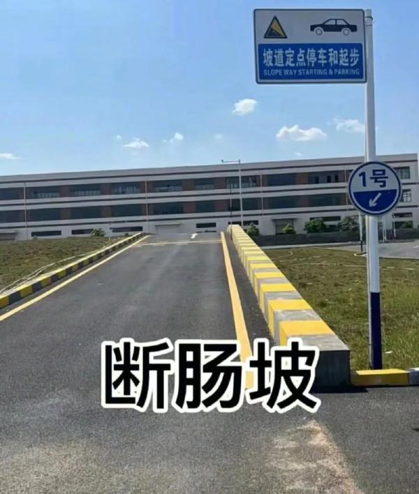 “教练，这车怎么崴脚了呀？”