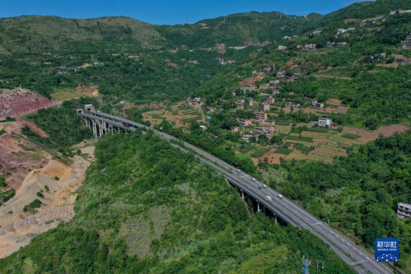 长江行| 巫山脆李出峡记