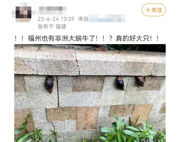 福建已出现！严重可致死，看到千万别碰