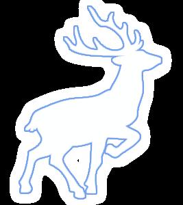 稀奇 | 天津惊现“神秘生物”!外貌、性情世界罕见! 稀奇 | 天津惊现“神秘生物”!外貌、性情世界罕见!