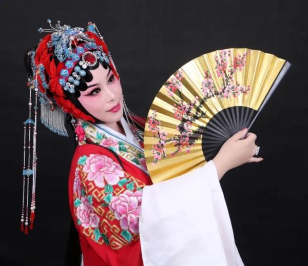 农村女孩为“追星”努力9年 如今她成了偶像同行