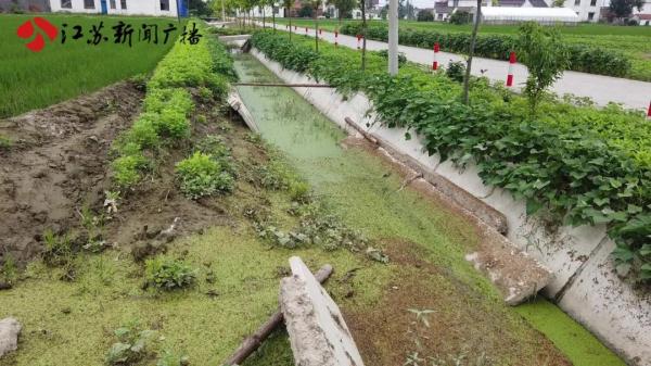 排水渠大面积空鼓坍塌 农田蓄水灌溉成隐忧
