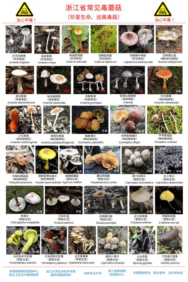 一顿饭后，夫妻双双险丧命…紧急提醒：剧毒！不要吃！