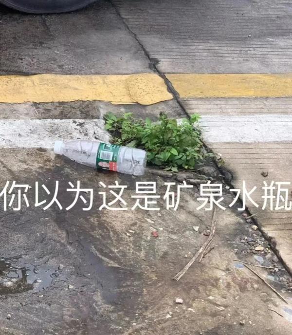 “教练，这车怎么崴脚了呀？”