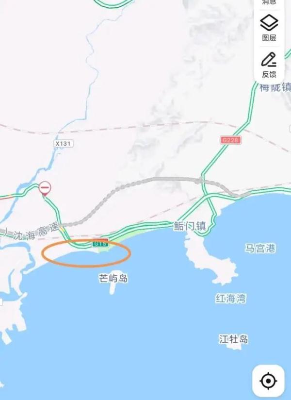 密密麻麻!广东一地海滩突现大量生蚝,吃货们“成桶”往家扛,网友:看饿了 密密麻麻!广东一地海滩突现大量生蚝,吃货们“成桶”往家扛,网友:看饿了