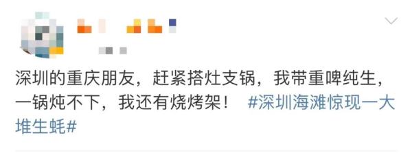 密密麻麻!广东一地海滩突现大量生蚝,吃货们“成桶”往家扛,网友:看饿了 密密麻麻!广东一地海滩突现大量生蚝,吃货们“成桶”往家扛,网友:看饿了