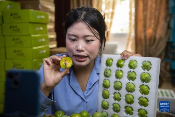 长江行| 巫山脆李出峡记