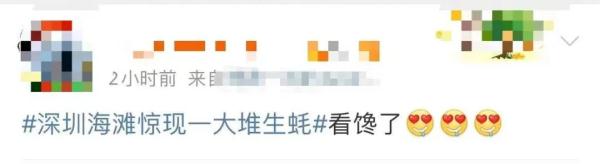 密密麻麻!广东一地海滩突现大量生蚝,吃货们“成桶”往家扛,网友:看饿了 密密麻麻!广东一地海滩突现大量生蚝,吃货们“成桶”往家扛,网友:看饿了