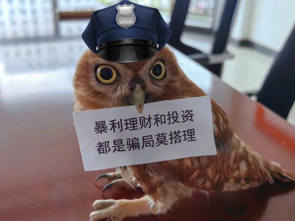 没看错吧！这只猫头鹰居然在“打工”？