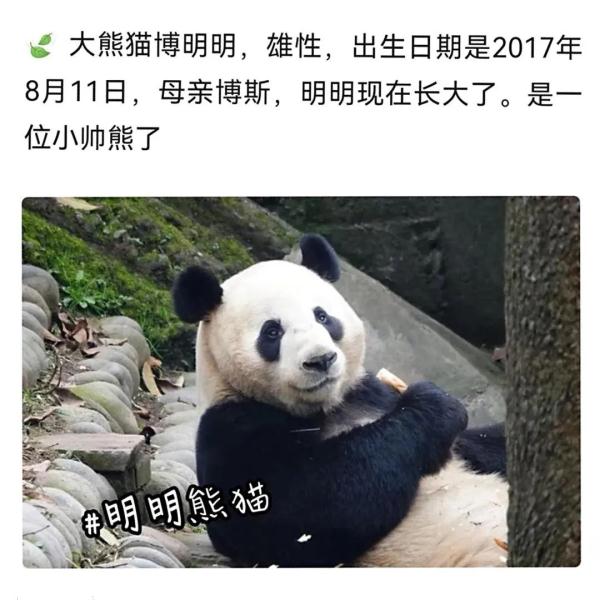 别错过！顶流明星来湖南了！