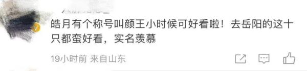 别错过！顶流明星来湖南了！