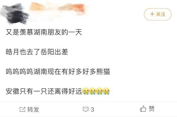 别错过！顶流明星来湖南了！