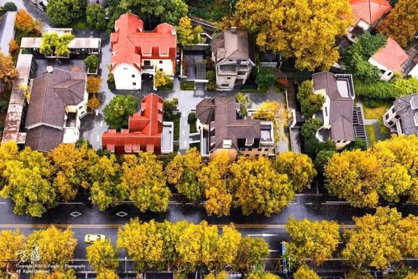 在南京,有一种闲逛叫打卡文学小路 在南京,有一种闲逛叫打卡文学小路