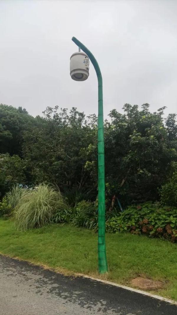 别错过！顶流明星来湖南了！