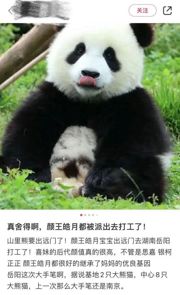 别错过！顶流明星来湖南了！