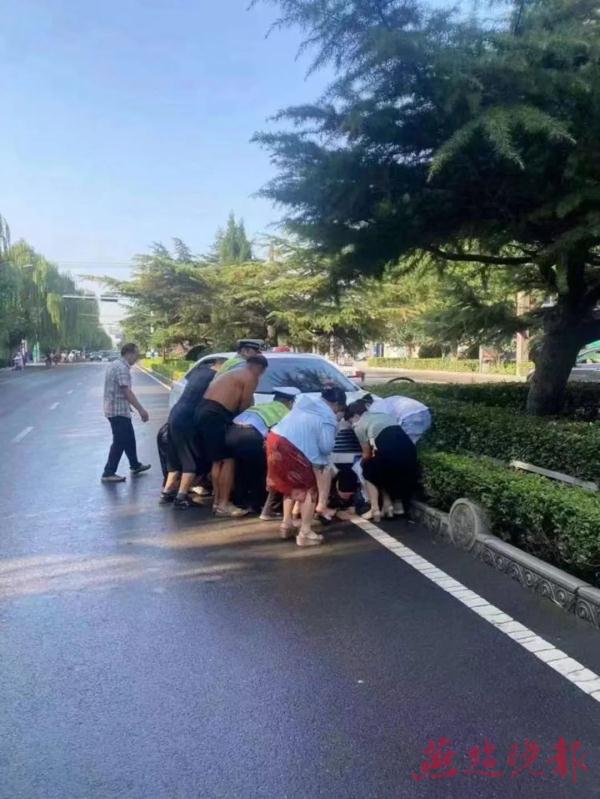 这几天发生在石家庄的三件小事儿 每一件都很暖心很感人