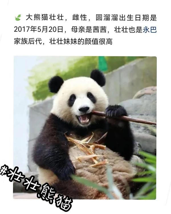 别错过！顶流明星来湖南了！