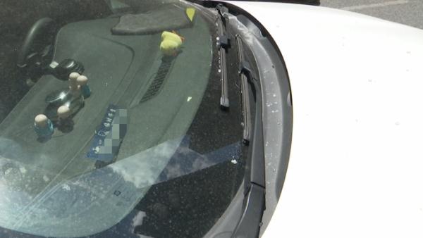 小区高空掉下钢化玻璃,3辆车被砸中!物业:太阳晒裂的 小区高空掉下钢化玻璃,3辆车被砸中!物业:太阳晒裂的