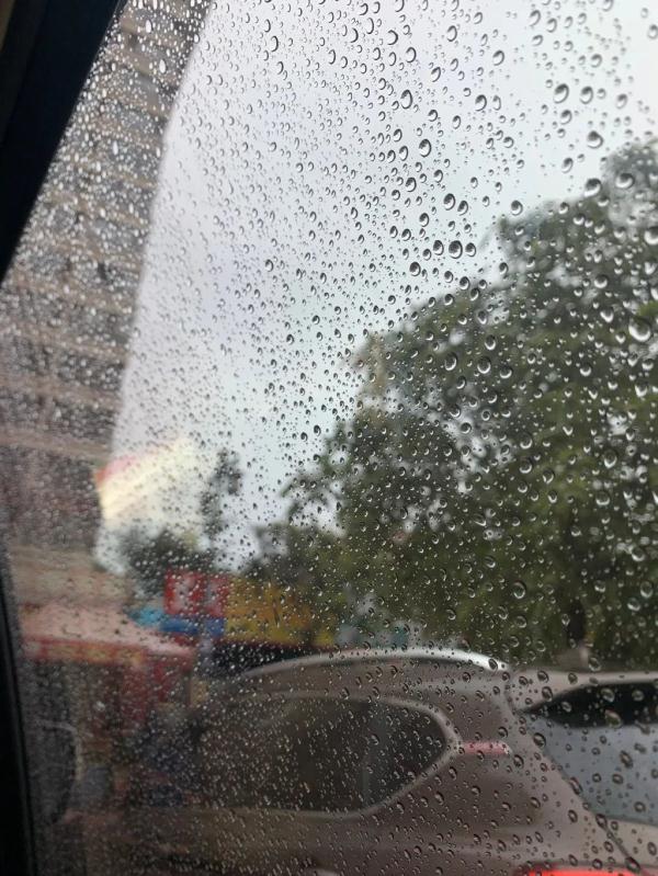 昆明14度℃，惊呆广东人！网友：我只想来避暑，没想来越冬