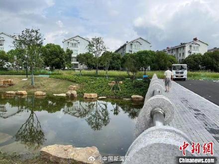 七旬大爷散步时跳河救母子三人