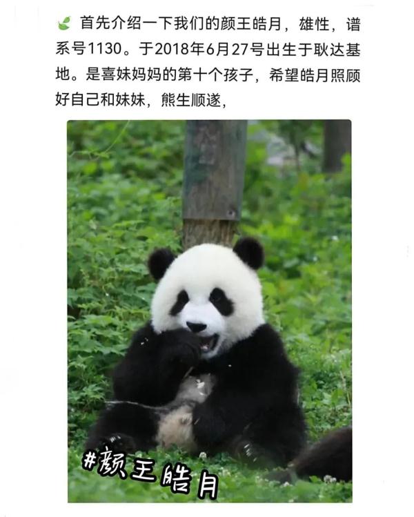 别错过！顶流明星来湖南了！