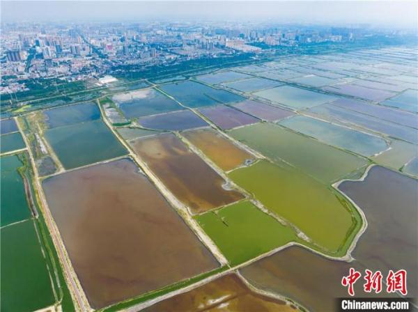 山西运城:山水生态回归折射产业思维之变 山西运城:山水生态回归折射产业思维之变