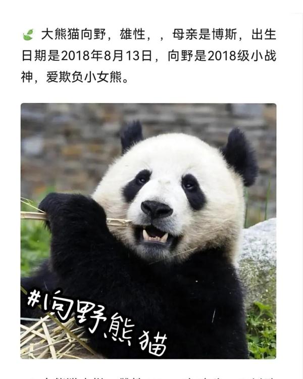 别错过！顶流明星来湖南了！